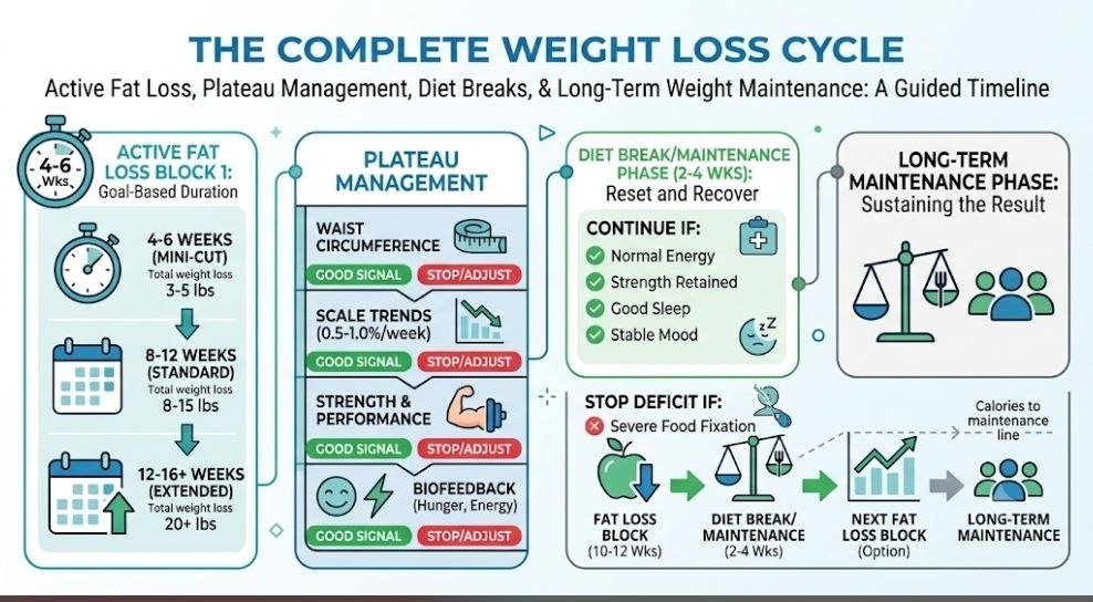 How Long Should a Weight Loss Cycle Last? 7 Powerful Rules for Safe, Sustainable Results How Long Should a Weight Loss Cycle Last?: Weight loss cycle phases showing active fat loss, plateau management, diet breaks, and long-term weight maintenance